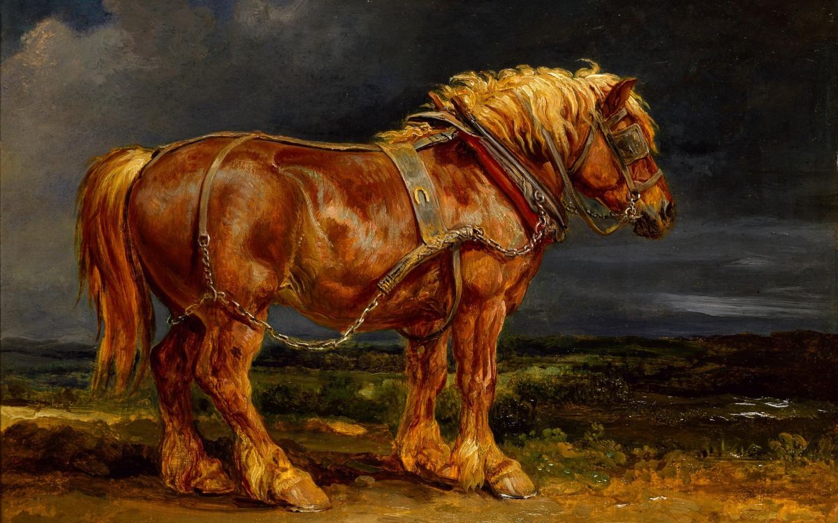 Cheval Brun Sur la Peinture de Champ Brun. Wallpaper in 2560x1600 Resolution