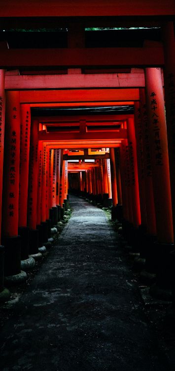 Fushimi Inari-taisha, Torii, Architecture, Amber, Symmetry. Wallpaper in 1421x3000 Resolution