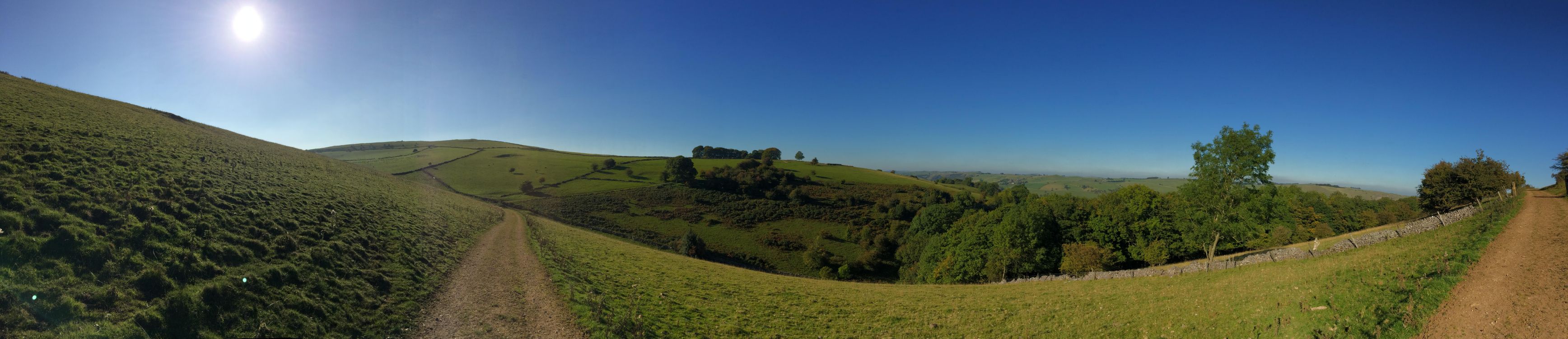 green grass field under blue sky during daytime