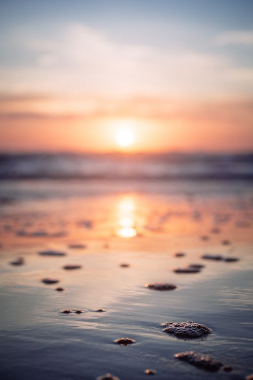 Puesta, Mar, Oceano, Afterglow, Calma. Wallpaper in 3263x4894 Resolution
