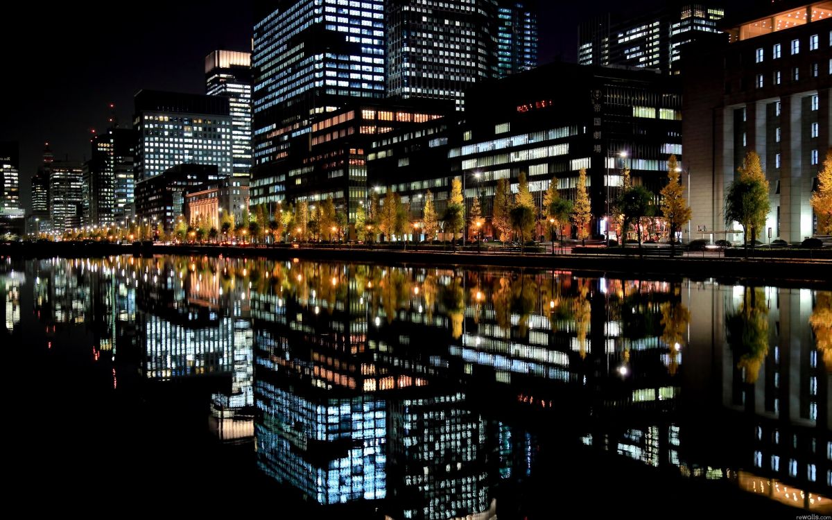 city with high rise buildings during night time