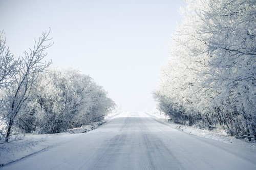 Image blizzard, frost, highway, winter, branch