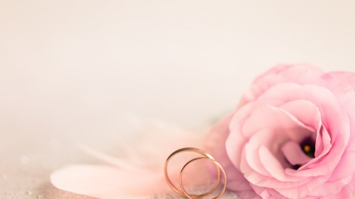 Image wedding ring, ring, wedding, rose, pink