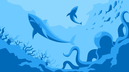 Image octopus, shark, ocean, minimalism, blue