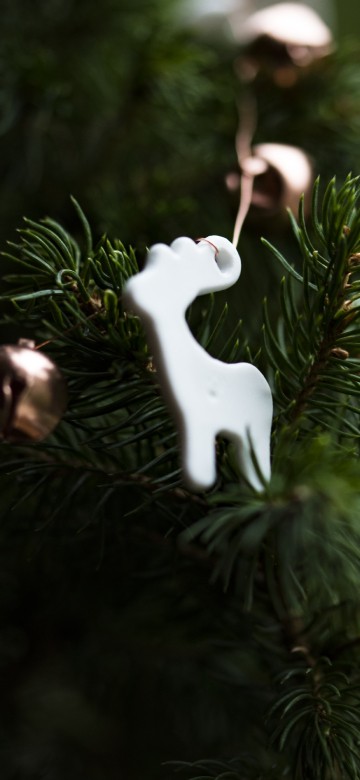 Image Christmas Day, christmas tree, christmas ornament, Santa Claus, christmas decoration