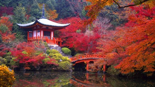 Image brown wooden bridge over river