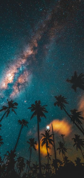 Cielo Lleno de Estrellas, Raquel Felipe, Juego Frio, Seo Dero, un Cielo Lleno de Estrellas. Wallpaper in 1420x3000 Resolution