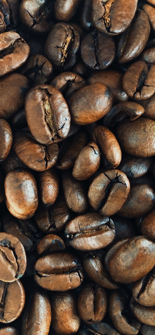 Image Coffee, jamaican blue mountain coffee, ios, apples, iOS 14