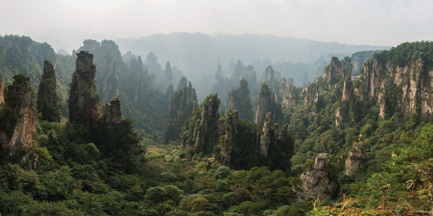 Grüne Bäume Auf Dem Berg Während Des Nebligen Tages. Wallpaper in 8841x4415 Resolution