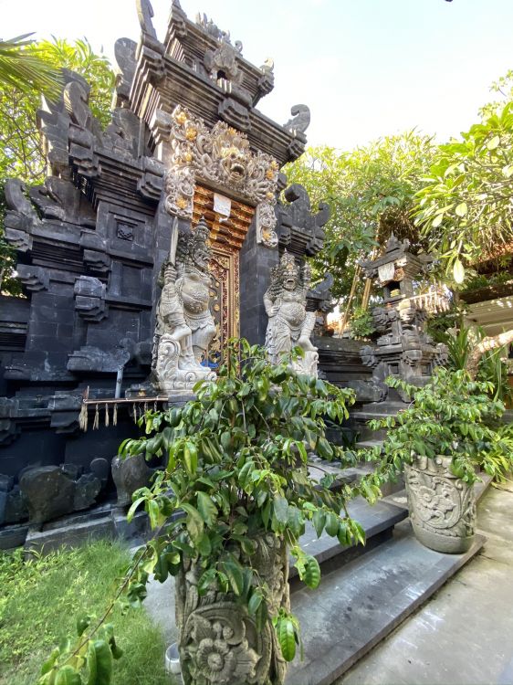 bali, chinese architecture, garden, houseplant, plant