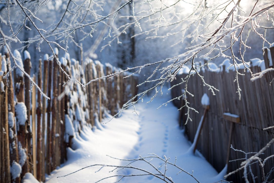 Brown Wooden Fence Covered With Snow. Wallpaper in 5472x3648 Resolution