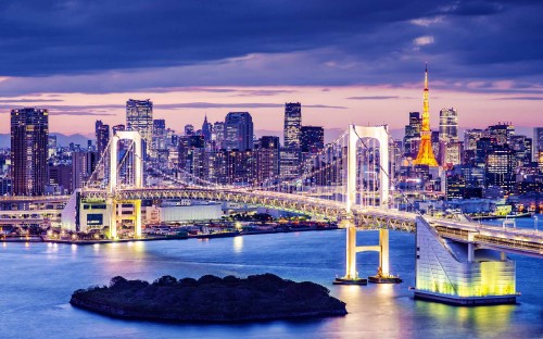 Image white bridge over body of water during night time