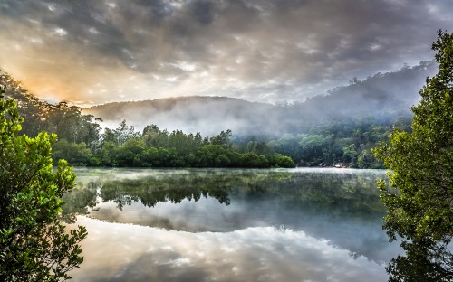 Image green trees beside lake under cloudy sky during daytime