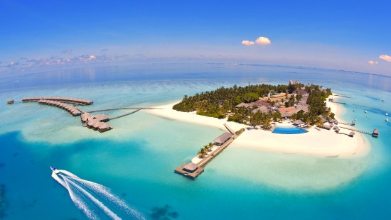 Image aerial view of beach during daytime