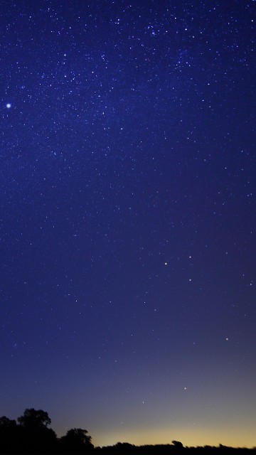 Image silhouette of trees under blue sky during night time