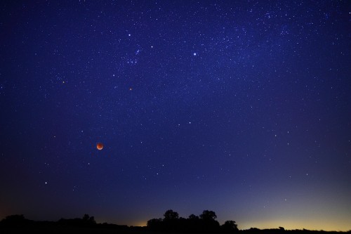 Image silhouette of trees under blue sky during night time