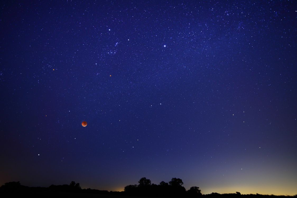 silhouette of trees under blue sky during night time