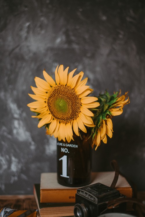 Image sunflower in black glass bottle