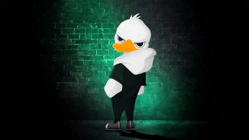 Image Street Duck