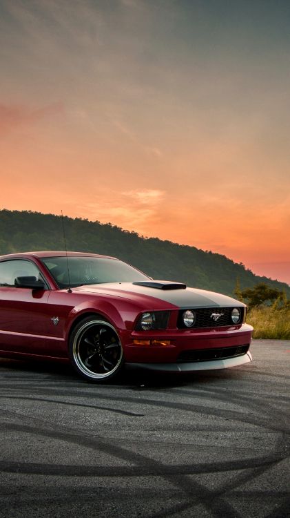 Ford Mustang, Mustang Boss 302, Voiture de Luxe, Ford Motor Company, Voiture Compacte. Wallpaper in 1800x3200 Resolution