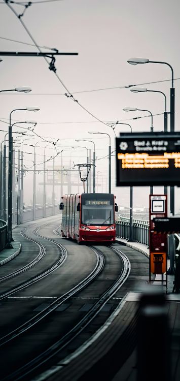 Tram, rail transport, public transport, transport, rapid transit