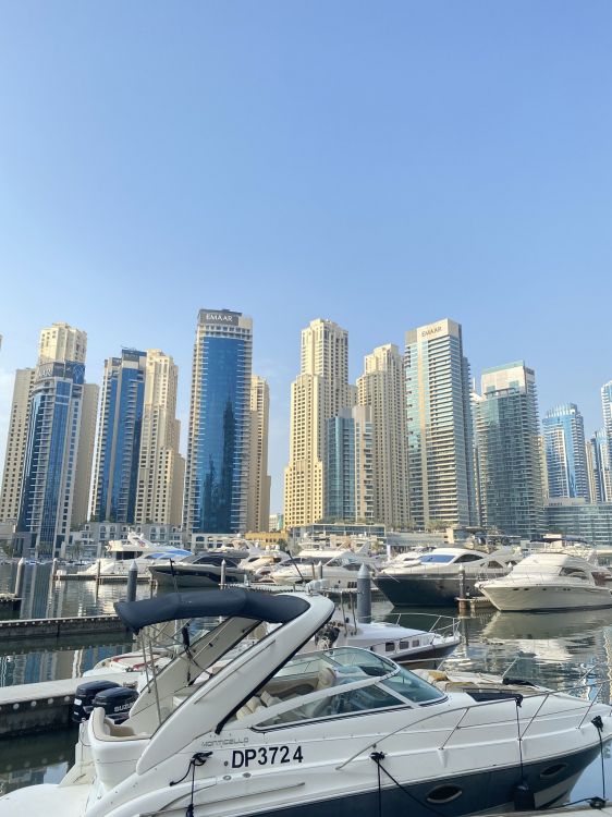 dubai, marina, water, tower block, watercraft