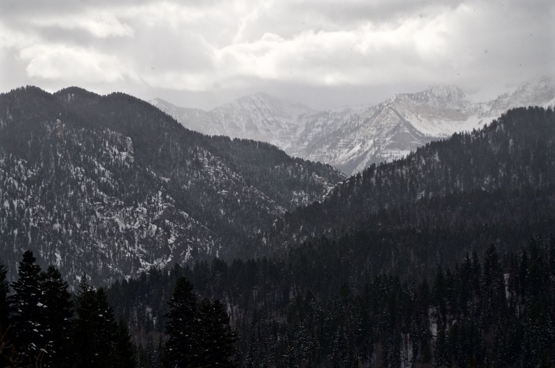 山脉, 多山的地貌, 荒野, 云杉林, 阿尔卑斯山 壁纸 4928x3264 允许