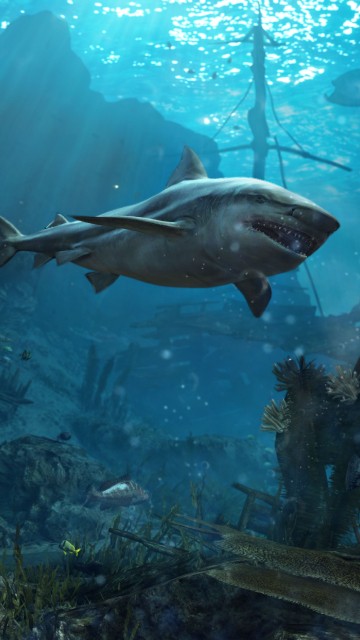 Image ubisoft, ubisoft montreal, underwater, marine biology, fish