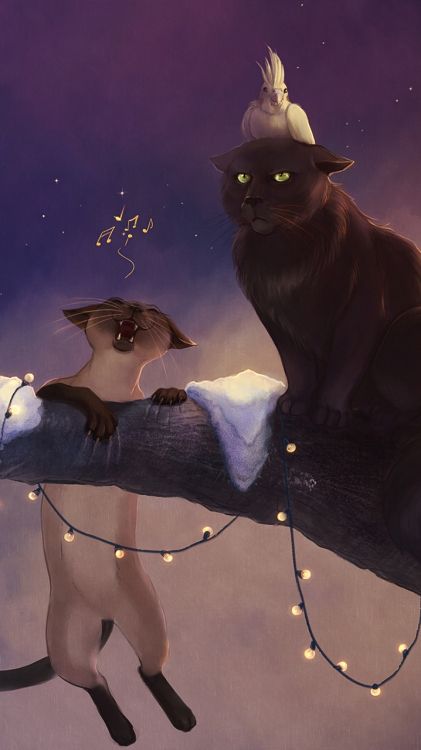 Gato, Gato Negro, Sombrero de Bruja, Caricatura, Arnés. Wallpaper in 720x1280 Resolution