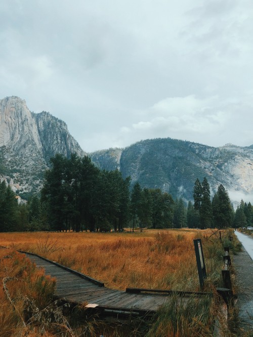 Image California, usa, yosemite valley, yosemite national park, mountain