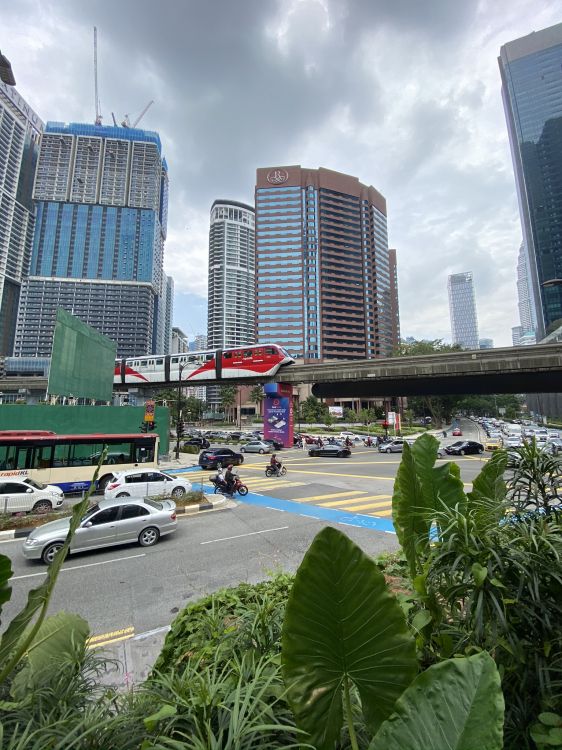 棕榈树, 塔块, 大都会, 城市景观, 城市 壁纸 1536x2048 允许