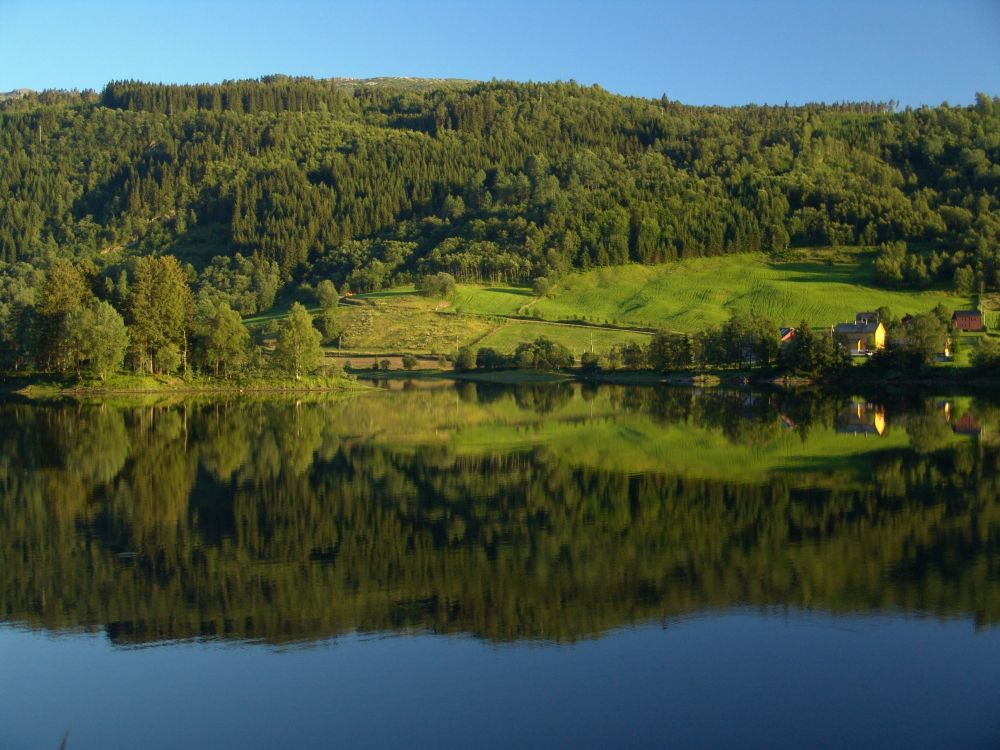 Champ D'herbe Verte Près du Lac Pendant la Journée. Wallpaper in 2592x1944 Resolution
