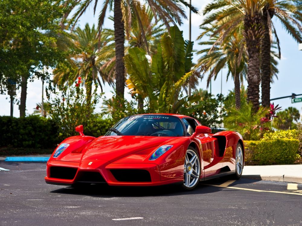red ferrari 458 italia on road near palm trees during daytime