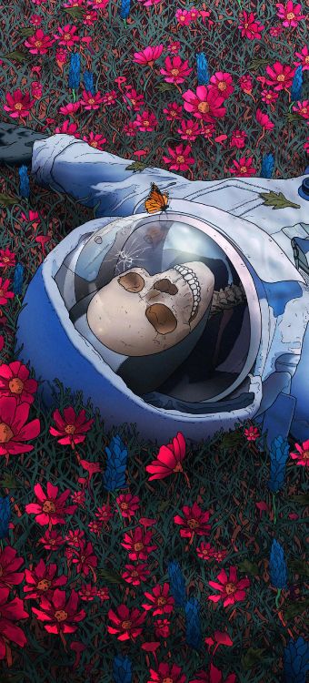 艺术, 光, 性质, 红色的, 草 壁纸 1440x3168 允许