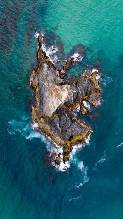 water, world, rock, sea, tree