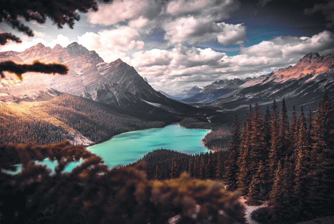 peyto lake, nature, lake, mountain, natural landscape