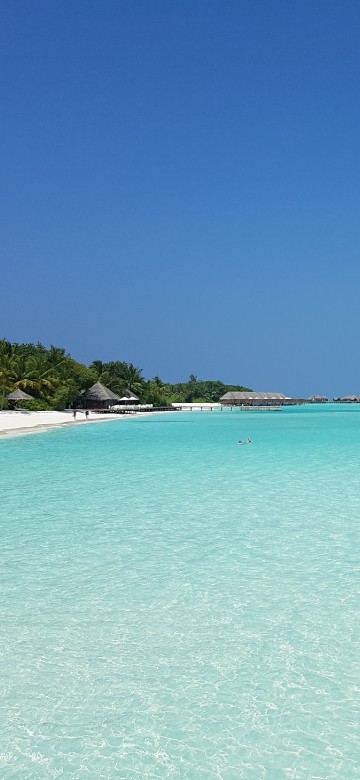 Image blue sea under blue sky during daytime