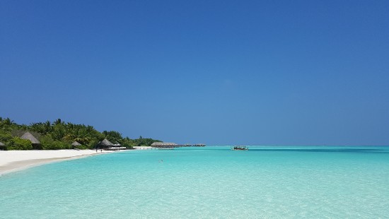 Image blue sea under blue sky during daytime