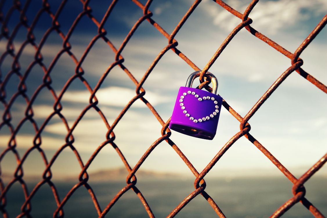 Clôtures en Fil, Maille, Verrouillage, Château, Fer. Wallpaper in 4256x2832 Resolution