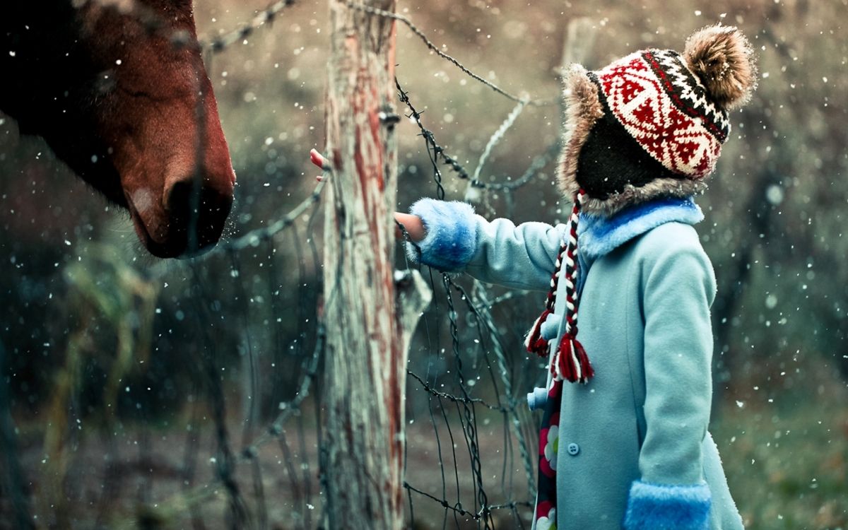 tree, fun, child, snow, freezing