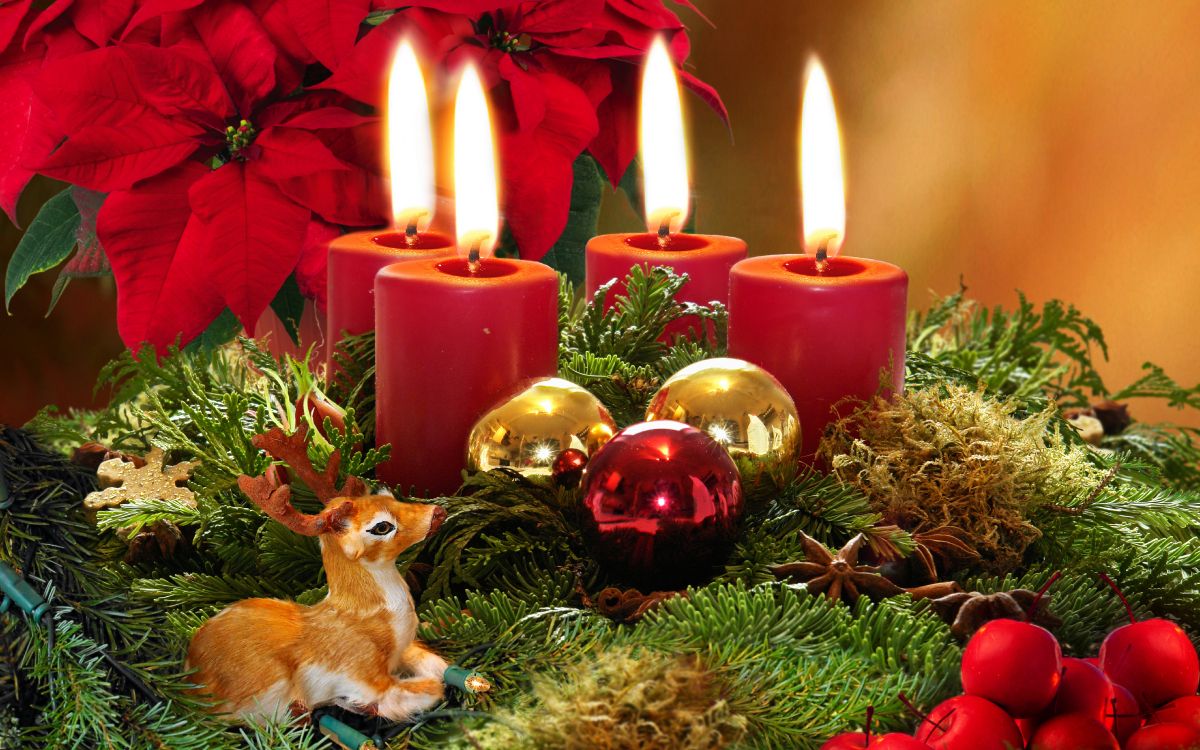 Christmas Day, Candle, Christmas Decoration, Poinsettia, Christmas. Wallpaper in 6562x4101 Resolution