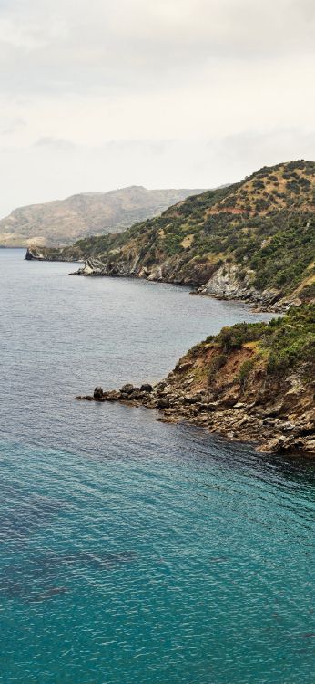 IPhone, MacOS Catalina, Apple, IOS, IOS 13. Wallpaper in 1183x2560 Resolution