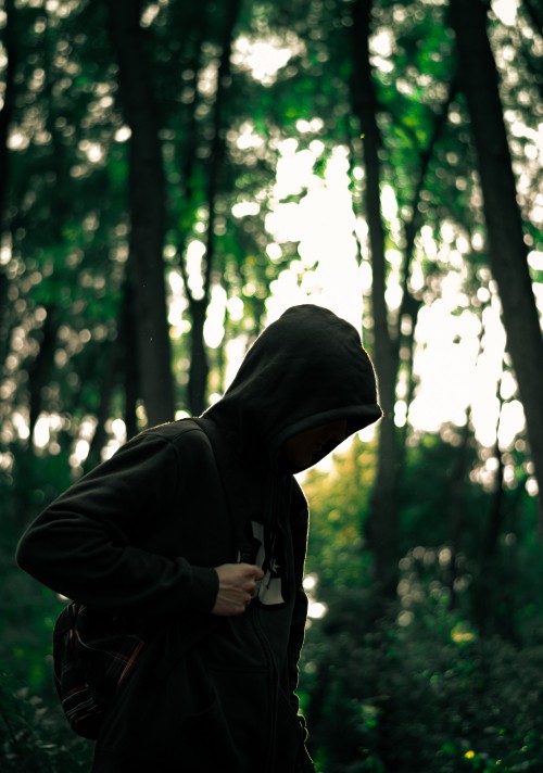 Image man in black hoodie standing in forest during daytime