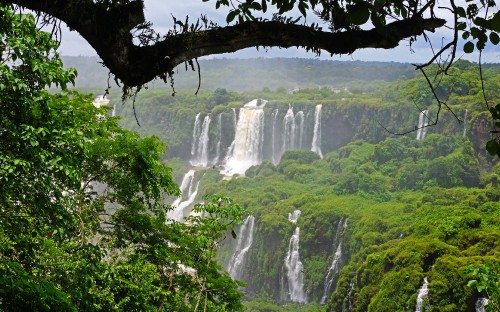 Image waterfalls in the middle of the forest