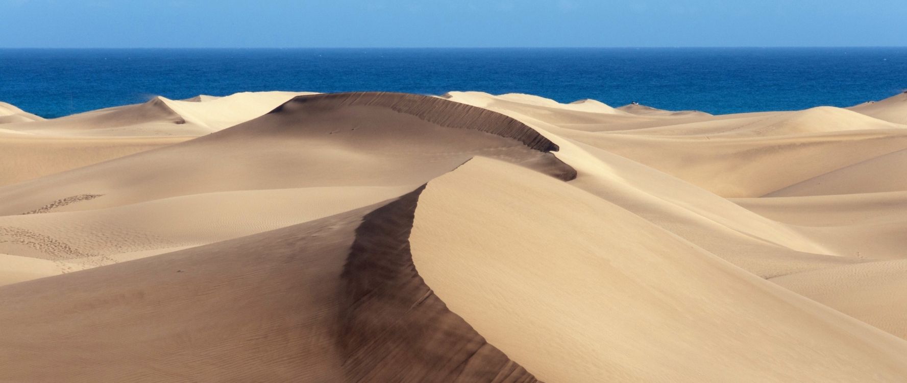 brown sand near blue sea during daytime