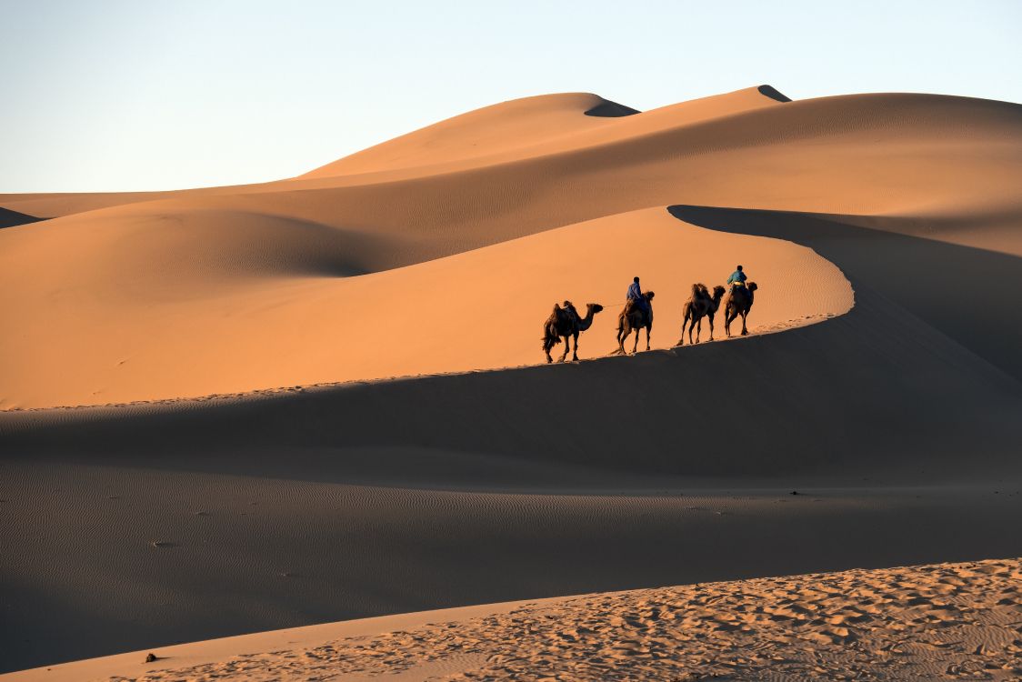 people riding camel on desert during daytime