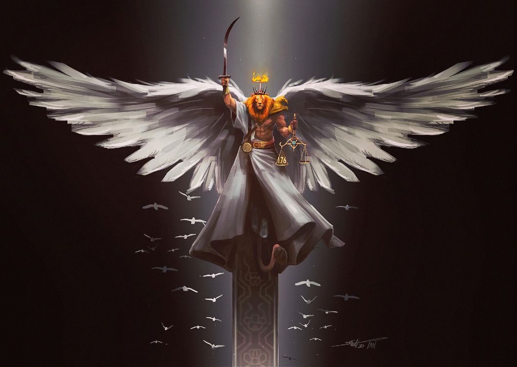 Oiseau, Bec, Plume, Aile, Oiseau-de-paradis. Wallpaper in 3840x2723 Resolution