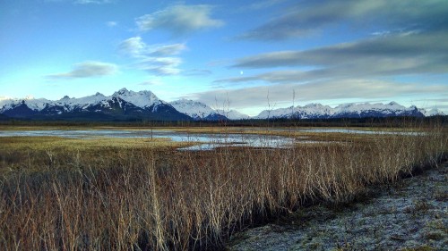 Image brown grass field near lake under blue sky during daytime