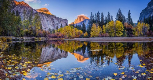 Image green trees near lake and mountain under blue sky during daytime