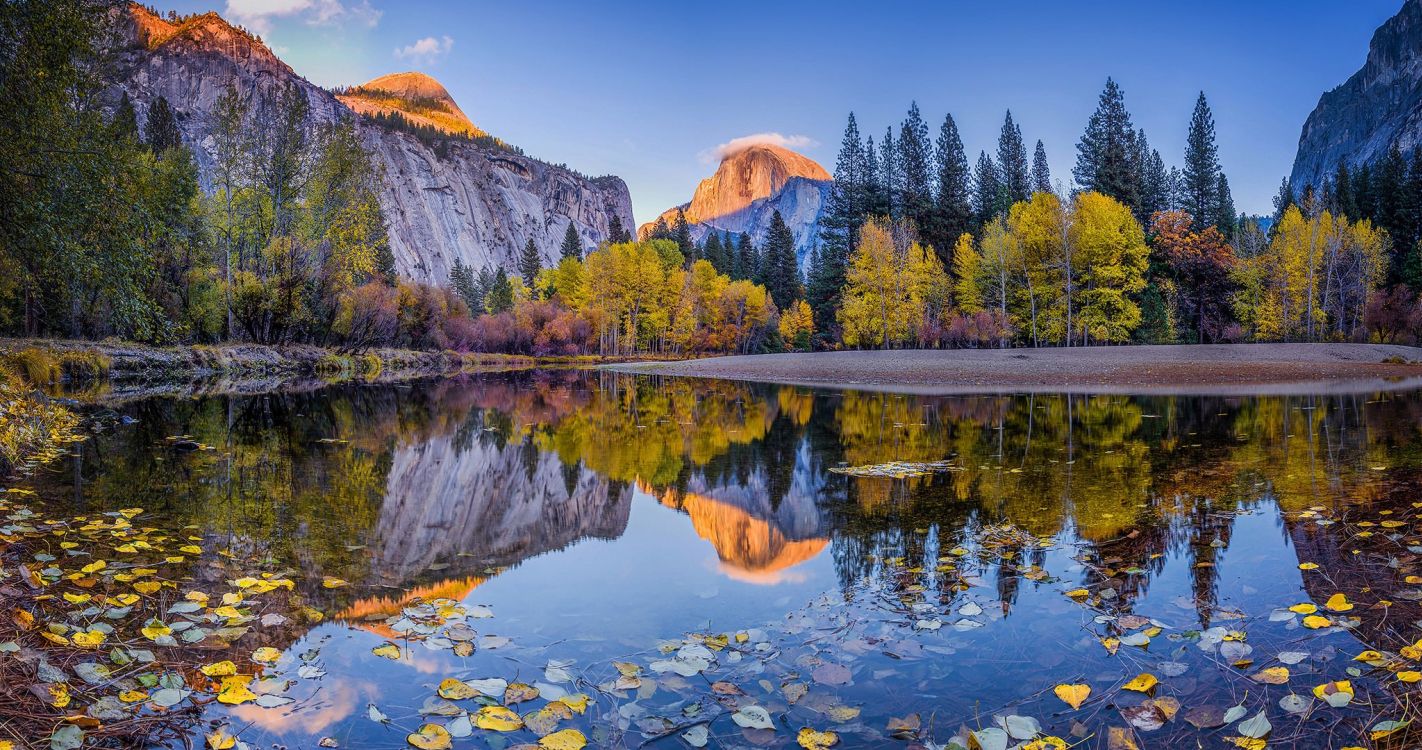 green trees near lake and mountain under blue sky during daytime